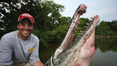 [Alligator gar is one ugly fish, with few friends but new fans]