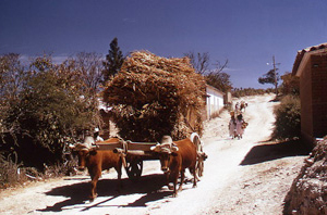 Our Town 14
