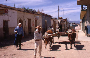 Our Town 22