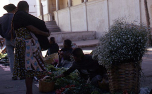Our Town 33