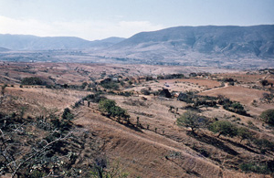 Surrounding 21