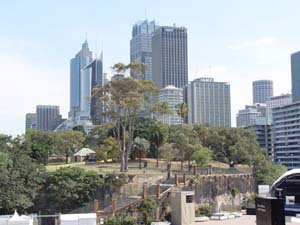 DSC00498