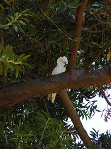 DSC00500