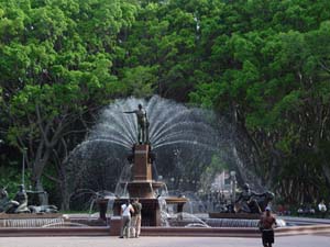 DSC00524