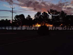 DSC00614