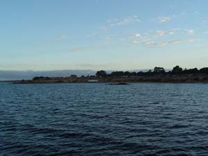 DSC00631