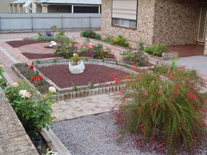 DSC00639