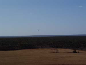 DSC00706