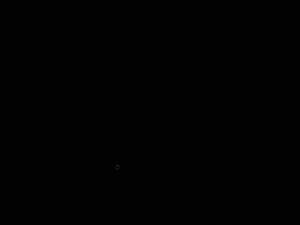 DSC00768
