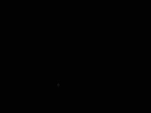 DSC00769