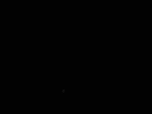 DSC00770