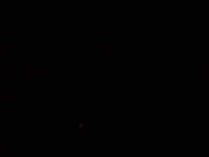 DSC00771