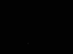 DSC00772