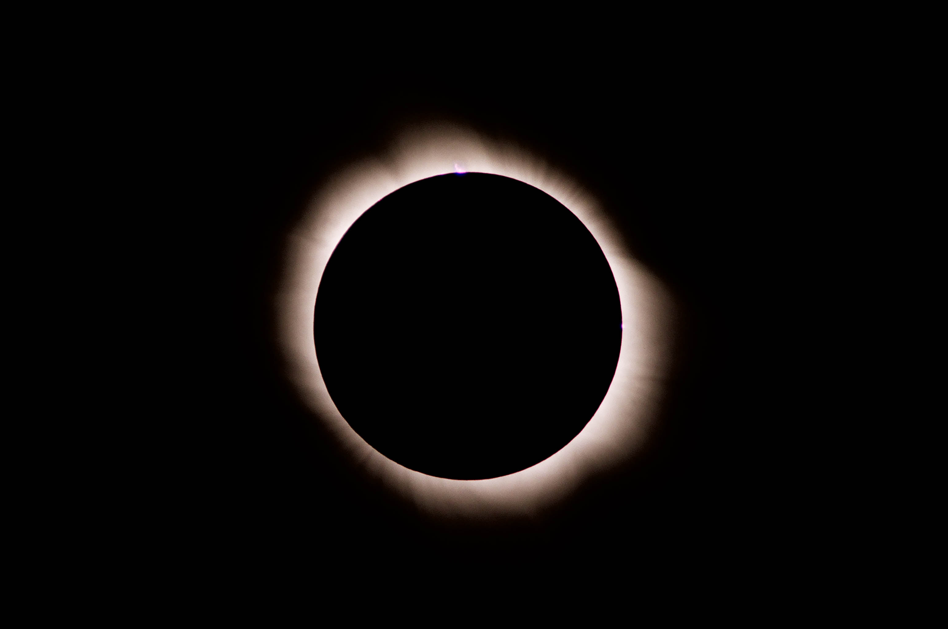 65470017.jpg