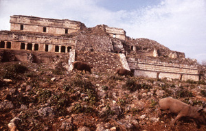 Mayan Site 11