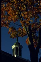 [ Williams Tower ]