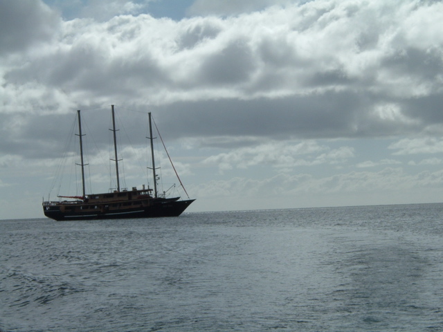 DSCF0568.JPG