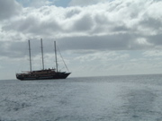 DSCF0568.JPG
