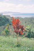 F1000015