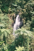 F1000016