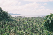 F1000024