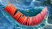 [PJ-AQ740_LAB_C_20090803161258.jpg]