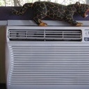 Crazy Landlord Fights Heat Wave With Air Conditioning Ban