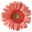 Image of sprocket79