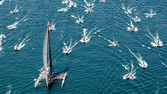[PJ-AQ751_SP_CUP_C_20090804183714.jpg]