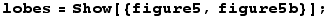 lobes = Show[{figure5, figure5b}] ;
